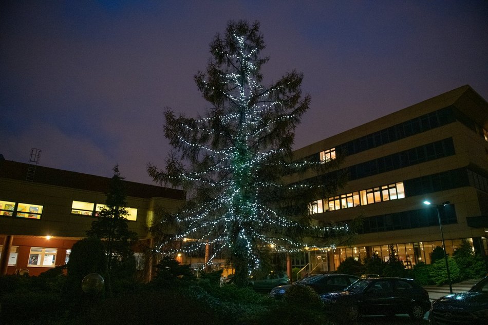 Choinka Wydziału Ekonomiczno-Socjologicznego UŁ