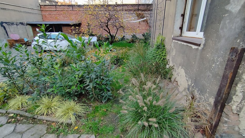 Podwórko przy Lipowej 64