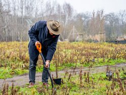 Łódź. Park Pileckiego na Złotnie w Łodzi pięknieje. 300 nowych krzewów i hit dla dzieci
