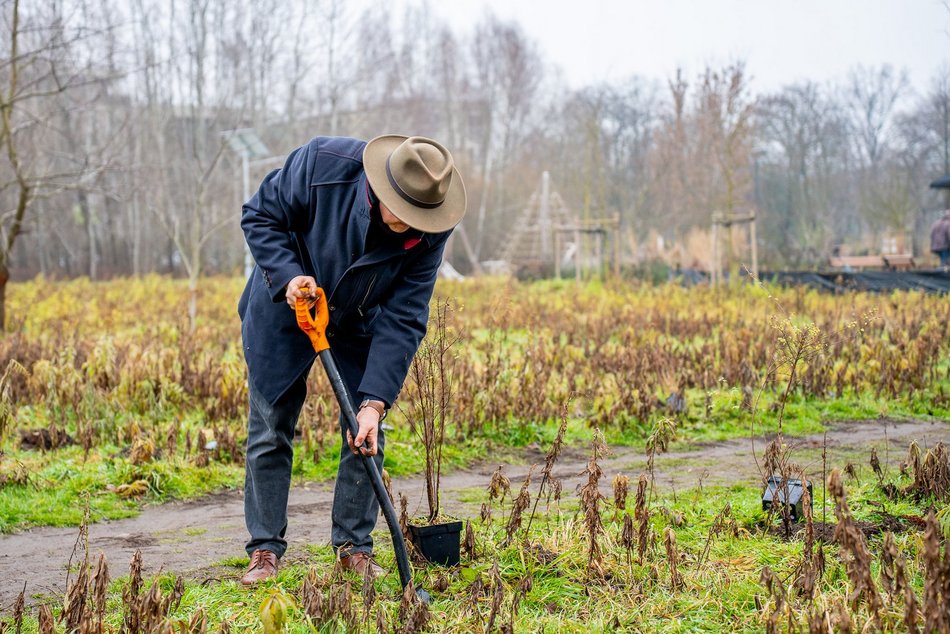 Łódź. Park Pileckiego na Złotnie w Łodzi pięknieje. 300 nowych krzewów i hit dla dzieci
