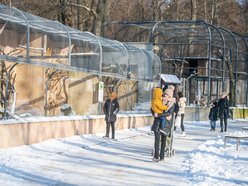 Łódź. Orientarium Zoo Łódź z nominacją w plebiscycie „Zimowe Gwiazdy Travelist 2026”. Oddaj swój głos!