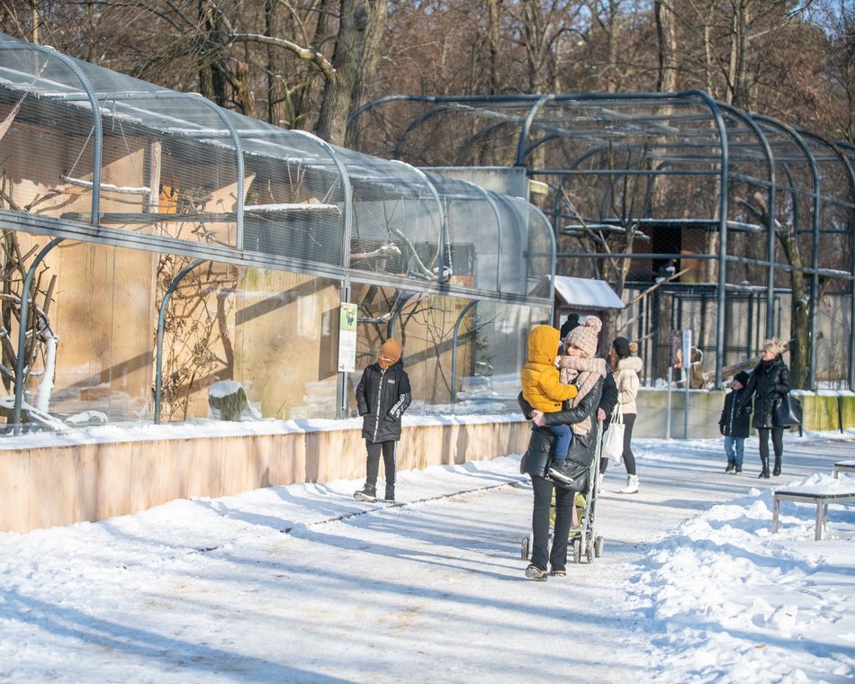 Łódź. Orientarium Zoo Łódź z nominacją w plebiscycie „Zimowe Gwiazdy Travelist 2026”. Oddaj swój głos!