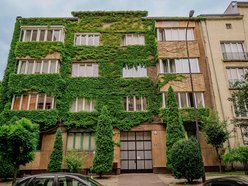 Łódź. To najbardziej zielona kamienica w Łodzi. Ten widok zapiera dech!