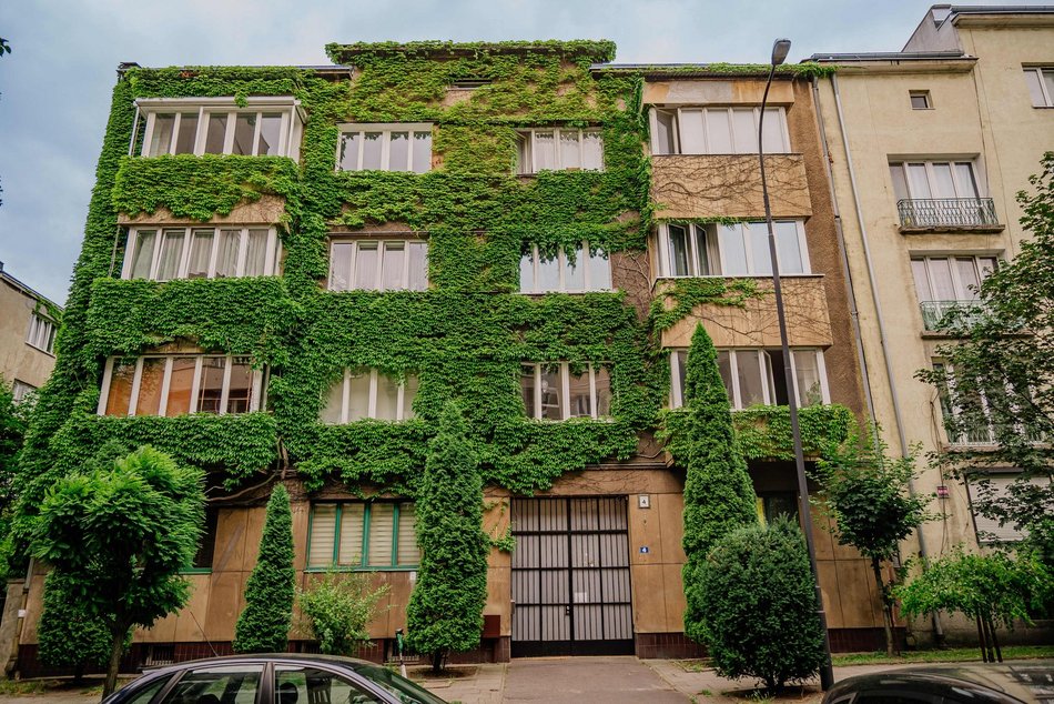 Łódź. To najbardziej zielona kamienica w Łodzi. Ten widok zapiera dech!