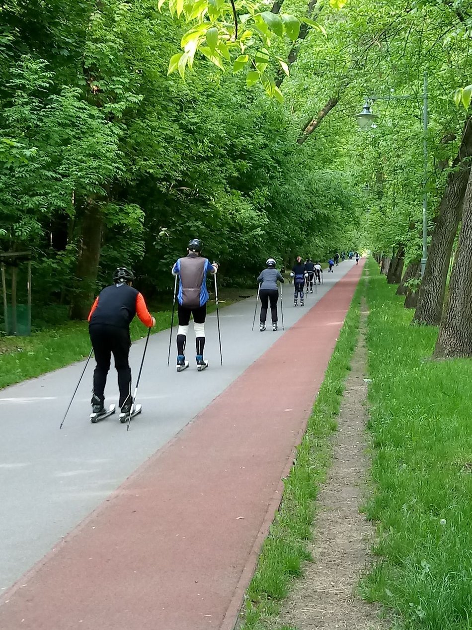 фото Zielona Łódź