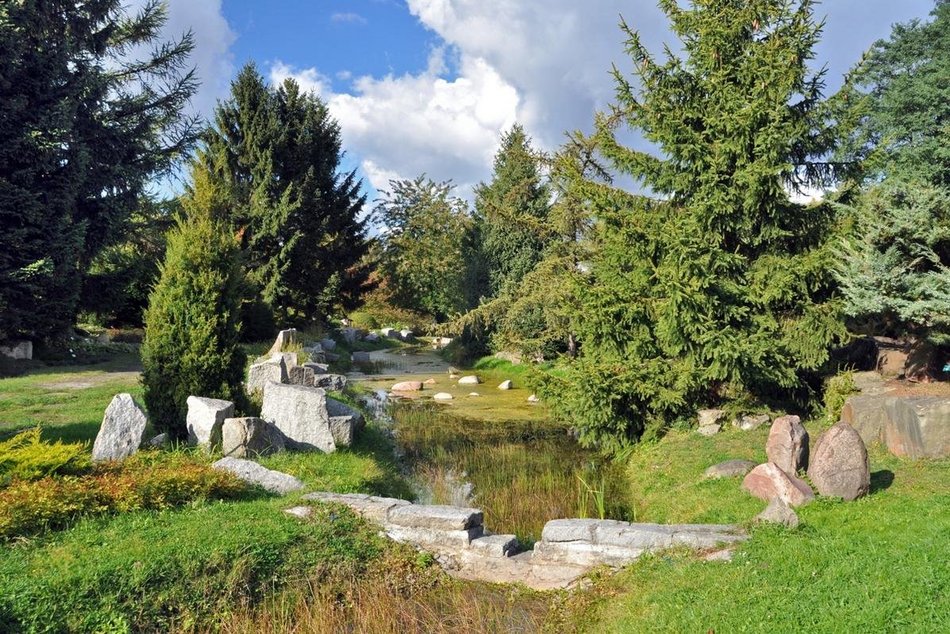 Alpinarium w Ogrodzie Botanicznym w Łodzi