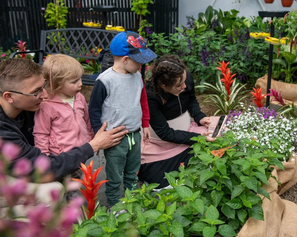 Motylarnia w Orientarium Zoo Łódź - motyle i odwiedzający w motylarni