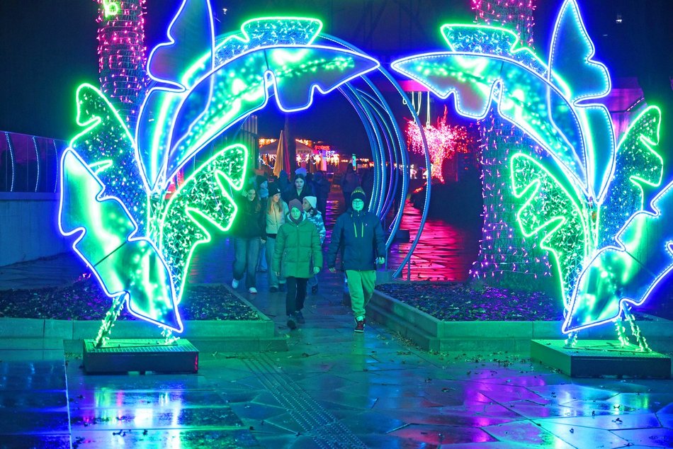 Park Miliona Świateł w Orientarium Zoo Łódź