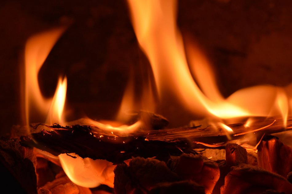 fot. Envato Elements