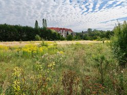 Park Mirabelka w Łodzi. Zielona przestrzeń przy ulicy Ustronnej zyskała nowa nazwę