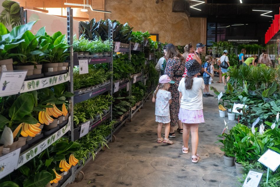 Łódź. Zielona Feta w Orientarium Zoo Łódź. Moc atrakcji na długi weekend