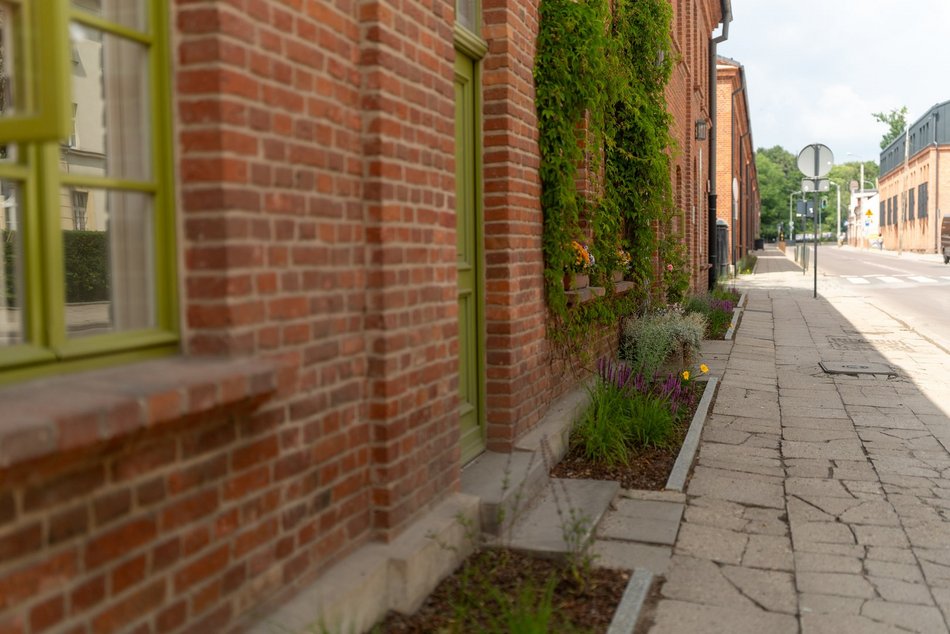 Ogrody fasadowe na Księżym Młynie przy ul. Przędzalnianej