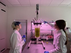 Łódź. Bioreaktor na Politechnice Łódzkiej. Czy mikroglony z rzek i stawów w Łodzi uratują nasze powietrze?