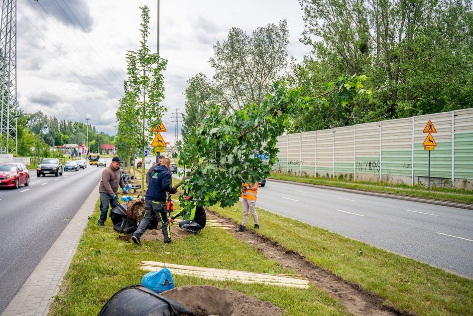 Łódź. Budżet Obywatelski Łódź 2025. Więcej zieleni przy Włókniarzy Łodzi