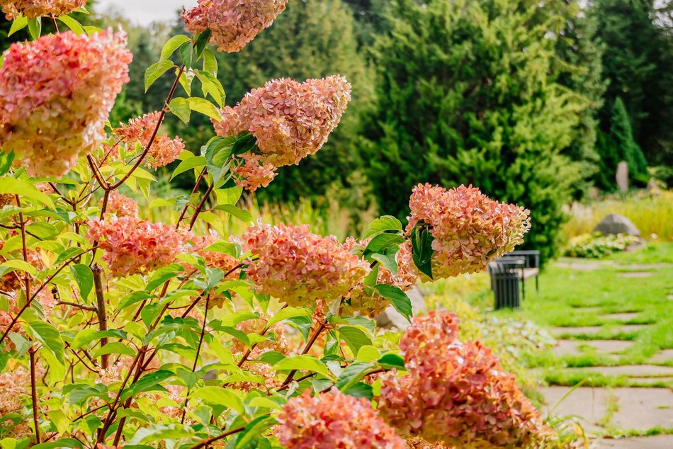 Łódź. Jesień w Ogrodzie Botanicznym w Łodzi. Tam z pewnością pokochasz tę porę roku!