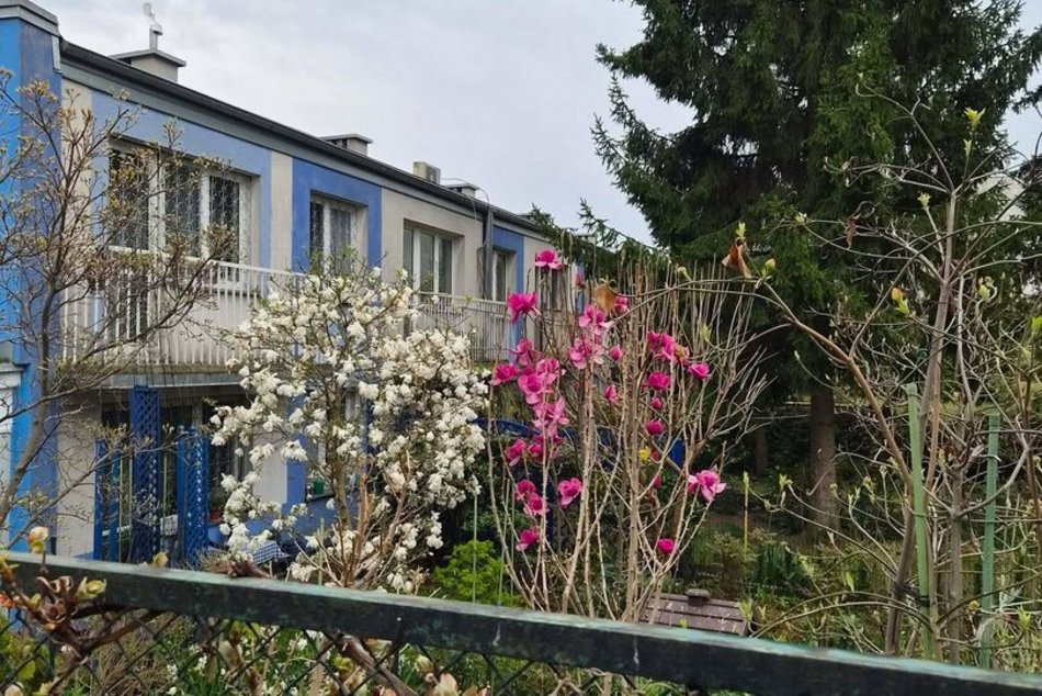 Łódź. Ukryte domki pomiędzy blokami w Łodzi. Niby Zarzew, a jak nadmorski kurort!