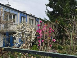 Łódź. Ukryte domki pomiędzy blokami w Łodzi. Niby Zarzew, a jak nadmorski kurort!