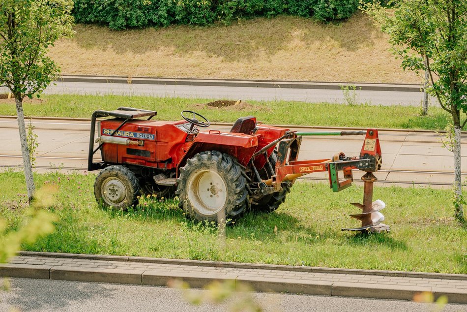 Nowe drzewa przy Wyszyńskiego w Łodzi. Lato na Retkini będzie jeszcze bardziej zielone