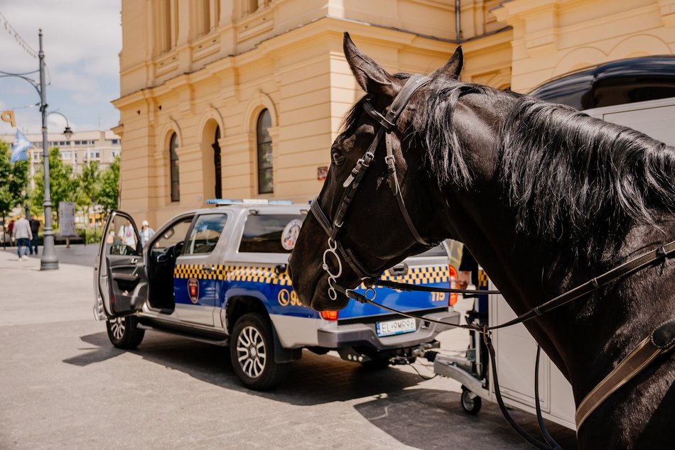 Nowy nabytek Straży Miejskiej w Łodzi. To specjalnie wyposażony wóz!