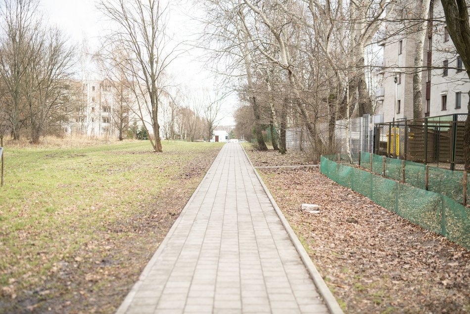 Łódź. Park Puchalskiego w Łodzi zmienia się dla mieszkańców. Nowe alejki i nasadzenia