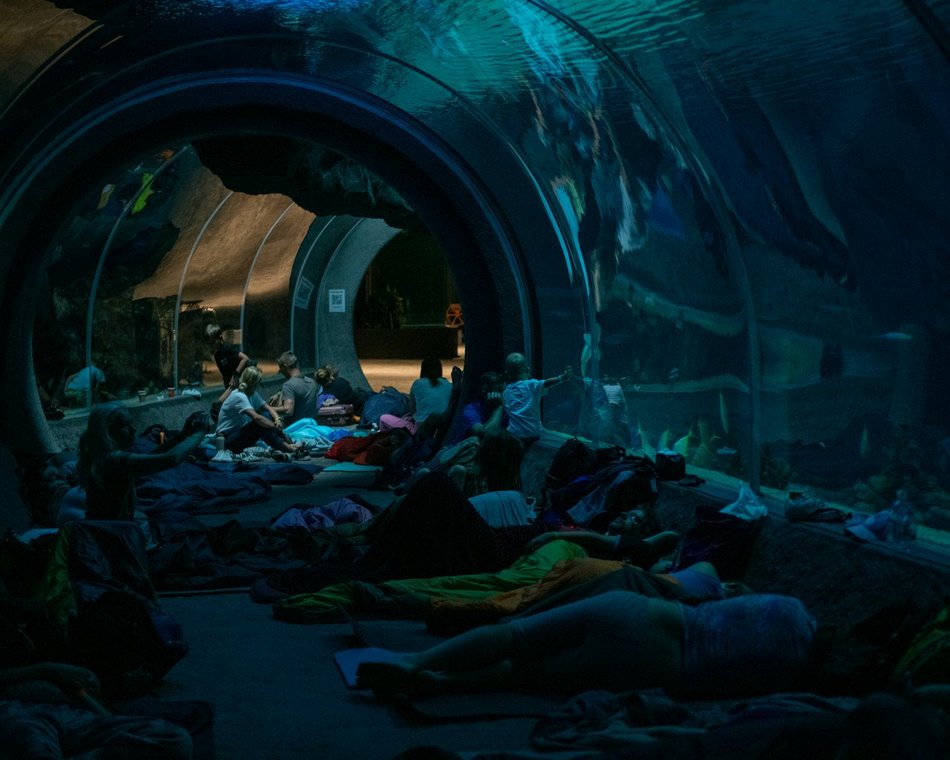 601. Urodziny Łodzi w Orientarium Zoo Łódź