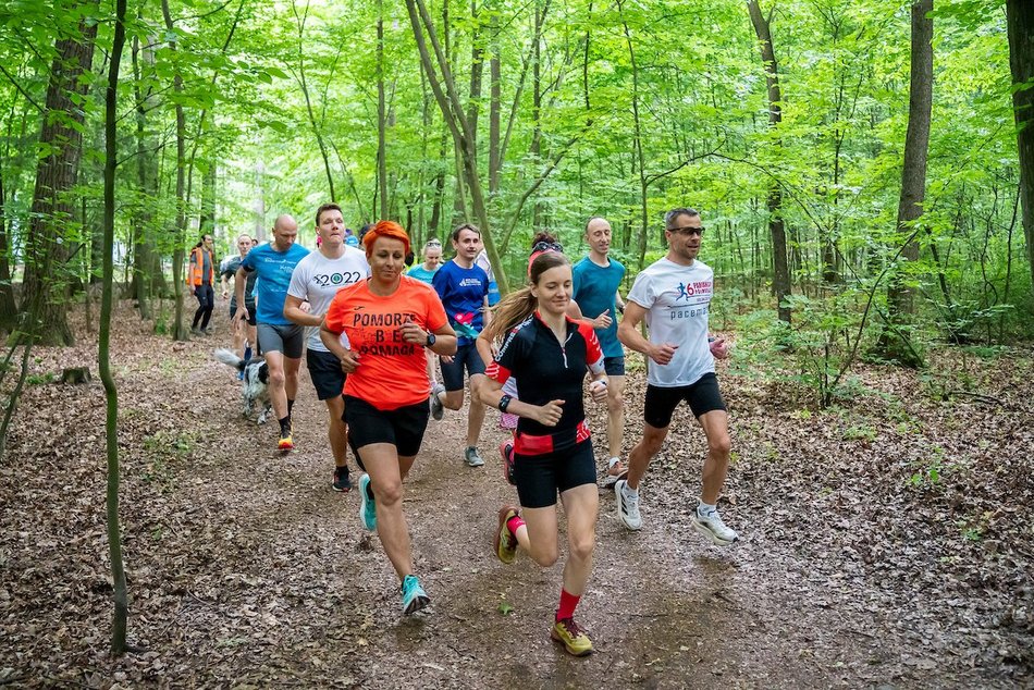 Łódź. Parkrun w Lesie Łagiewnickim w Łodzi. Brałeś udział w biegu? Znajdź się na zdjęciach!
