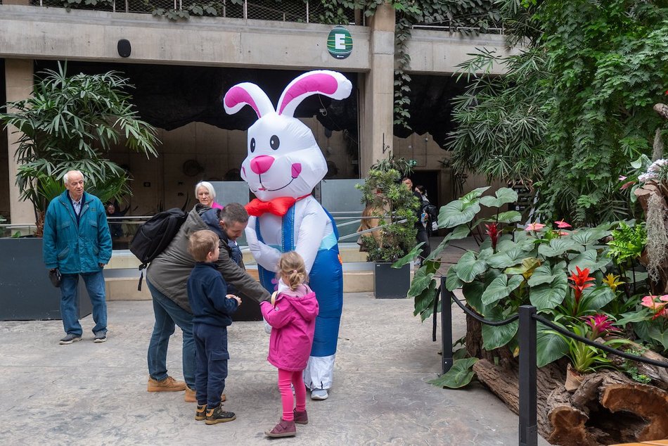 Łódź. Wielkanocny zając w Orientarium Zoo Łódź