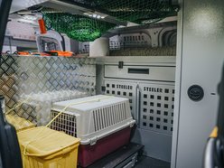 Łódź. Nowa karetka do ratowania dzikich zwierząt w Łodzi