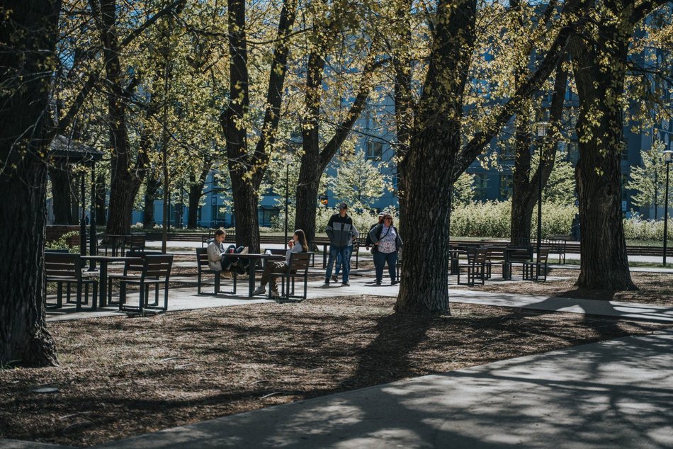 Łódź. Park Staromiejski w Łodzi idealny na majówkowy spacer. To zielona oaza w centrum miasta!