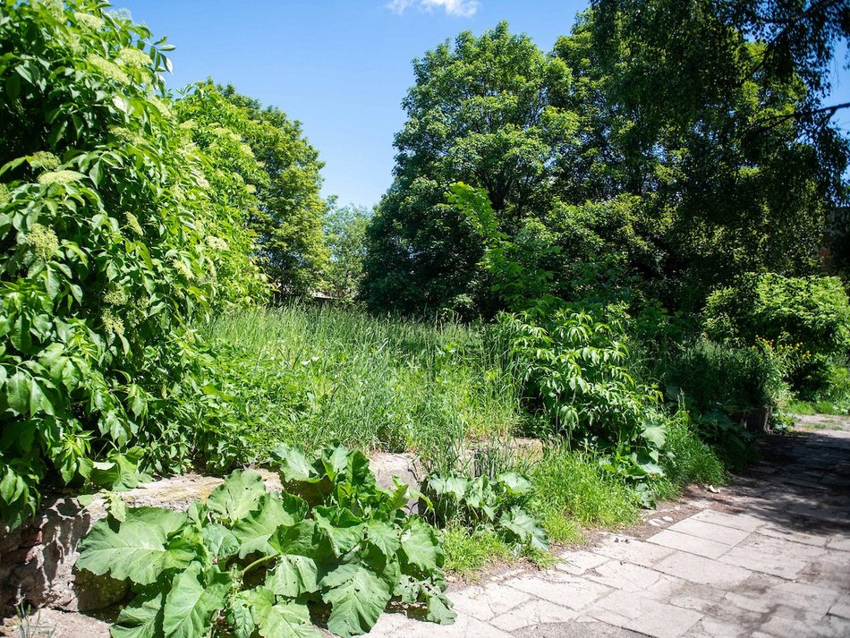 Łódź. Nowe mieszkania miejskie przy Złotej. Będzie 30 lokali i 36 miejsc parkingowych