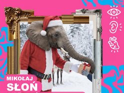 Łódź. Zlot fanów Świętego Mikołaja w Orientarium Zoo Łódź