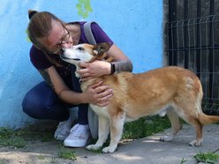 Łódź. Leon wreszcie znalazł dom! Po 10 latach czekania w schronisku w Łodzi