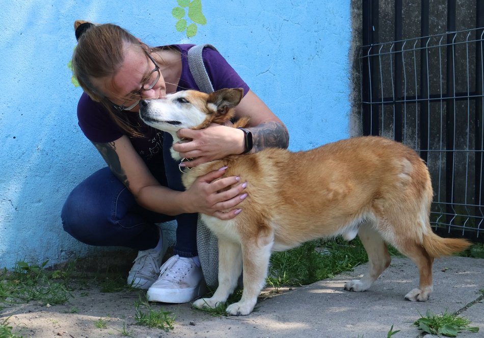Łódź. Leon wreszcie znalazł dom! Po 10 latach czekania w schronisku w Łodzi