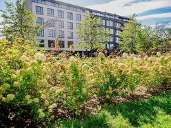 Łódź. Wrzesień w Łodzi potrafi zaskoczyć! Miasto wciąż tętni kolorami i zapachem kwiatów