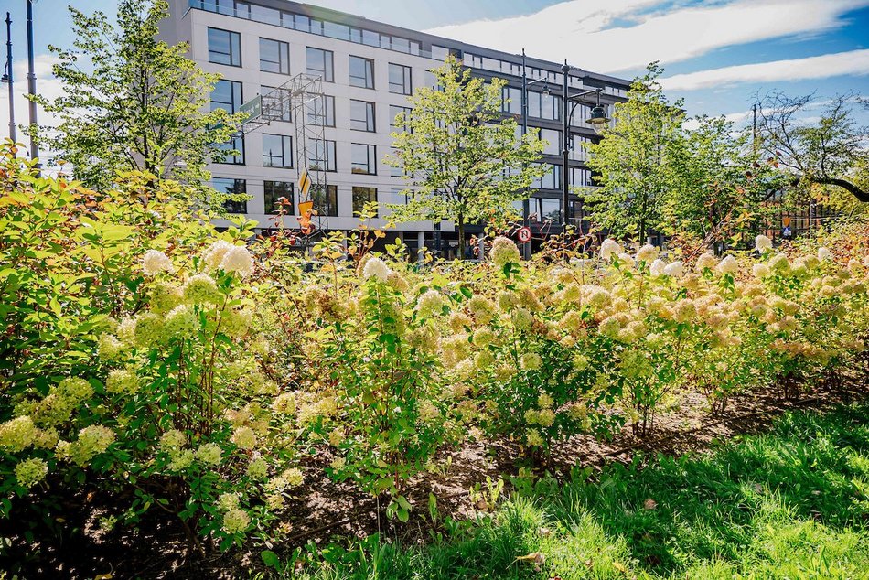 Łódź. Wrzesień w Łodzi potrafi zaskoczyć! Miasto wciąż tętni kolorami i zapachem kwiatów