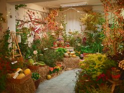 Szukasz pomysłu na weekend? Przyjdź na wystawę w Ogrodzie Botanicznym w Łodzi!