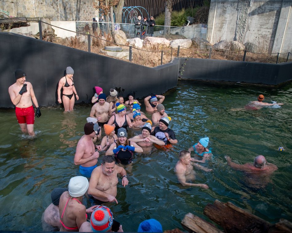 Łódź. Morsowanie w basenie dla słoni
