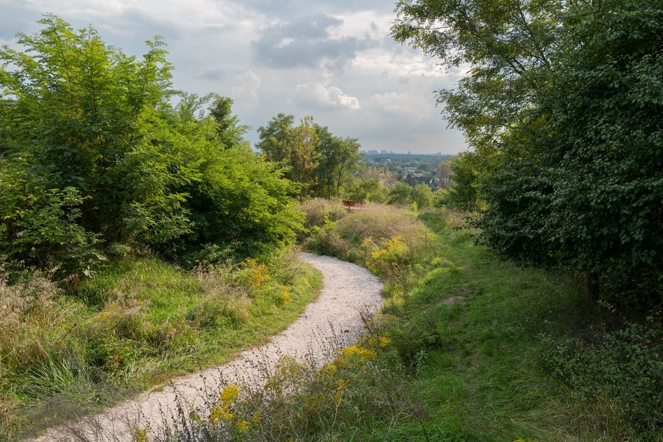Łódź. Wieża widokowa na Górce Rogowskiej