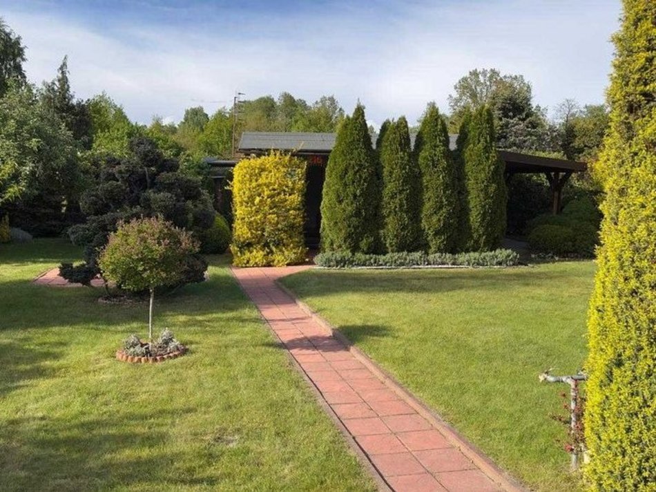 Łódź. Działka ROD „Brzezina" (ul. Hodowlana 1/3)