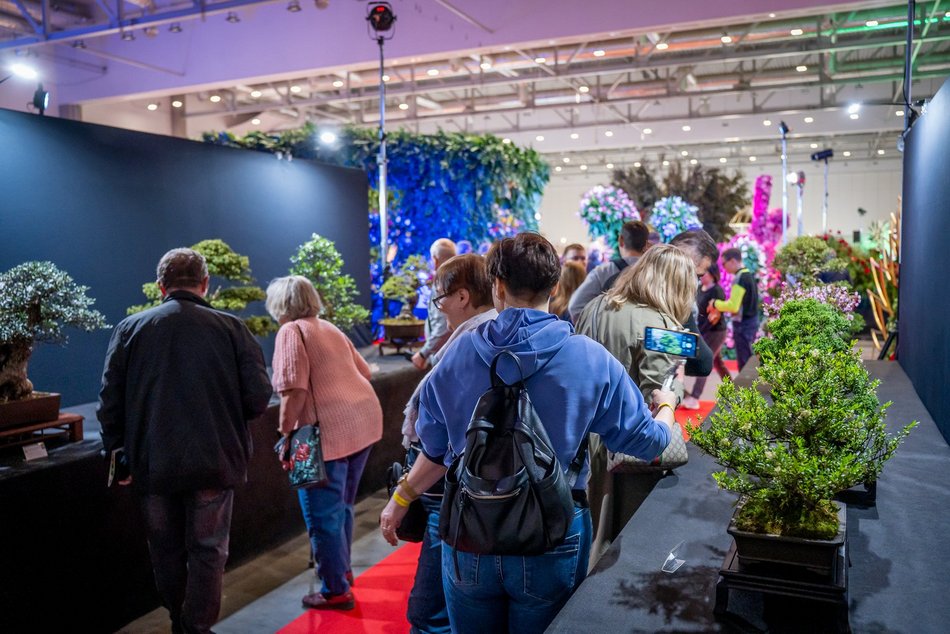 Łódź. World Flower Show w hali Expo Łódź. Przyjdź i zobacz orchidee, drzewa bonsai i sukulenty