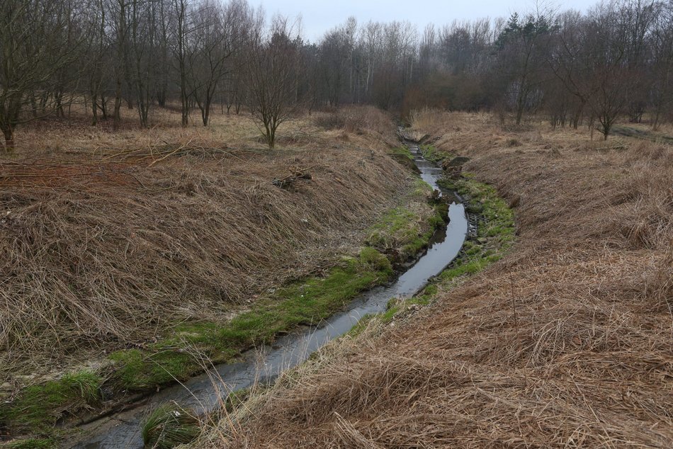Rzeka Augustówka w Łodzi
