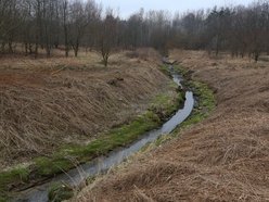 Rzeka Augustówka w Łodzi