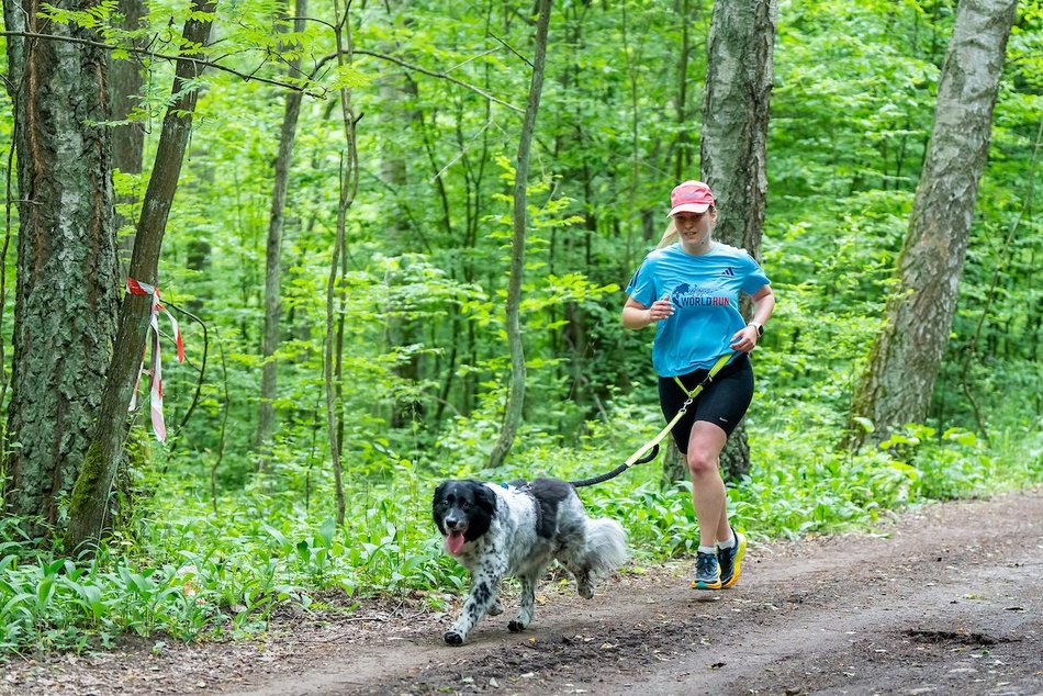 Łódź. Parkrun w Lesie Łagiewnickim w Łodzi. Brałeś udział w biegu? Znajdź się na zdjęciach!