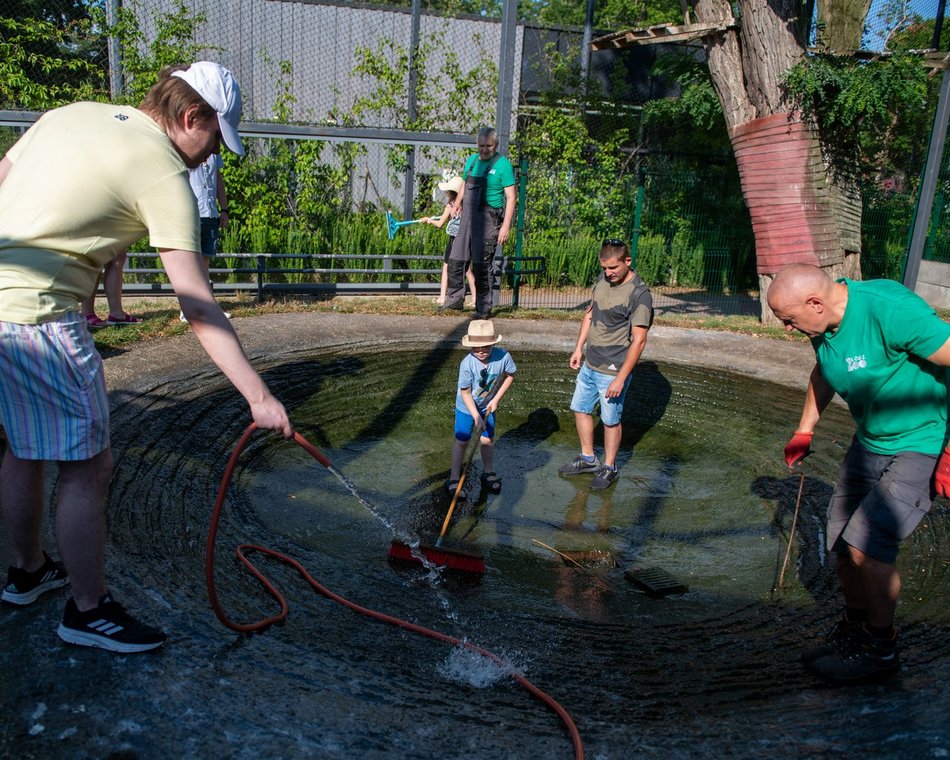 Dzień Kapibary w Orientarium Zoo Łódź