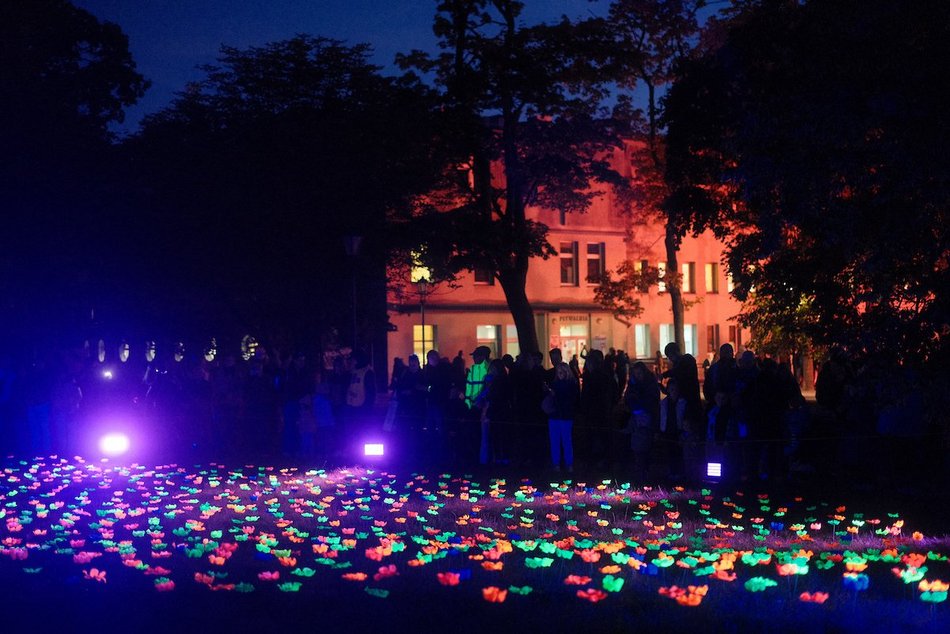 Byliście już w parku Sienkiewicza? Bajkowy świat Light Move Festival 2025 Łódź [ZDJĘCIA]