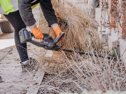 Fasady famuł na Księżym Młynie rozkwitną wiosną. Ale najpierw sprzątanie!