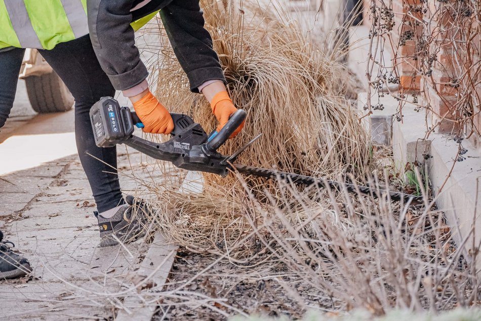 Fasady famuł na Księżym Młynie rozkwitną wiosną. Ale najpierw sprzątanie!