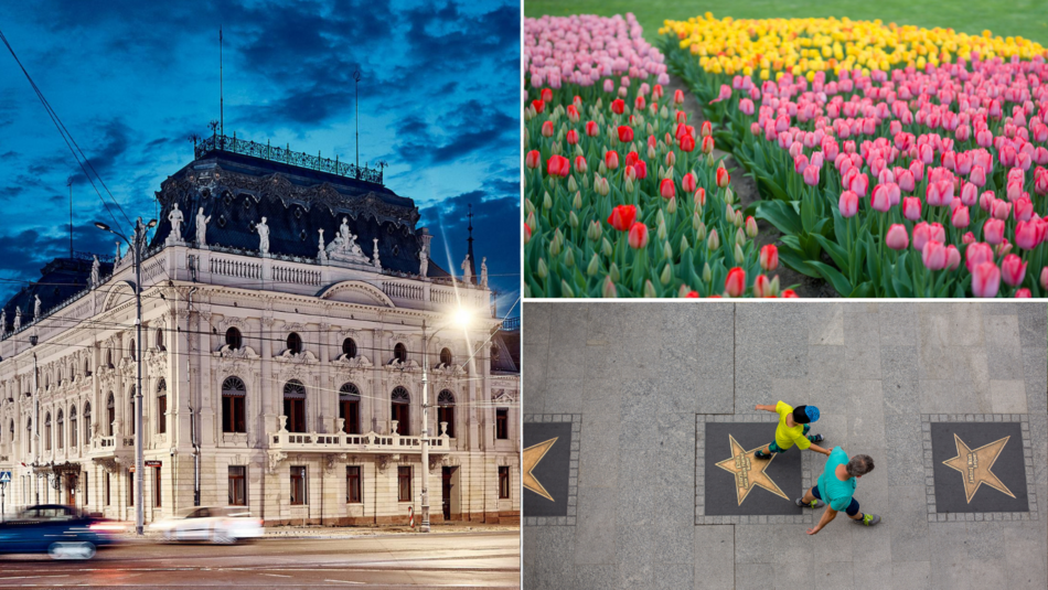 Łódź, Pałac Poznańskiego, Ogród Botaniczny, Aleja Gwiazd na Piotrkowskiej