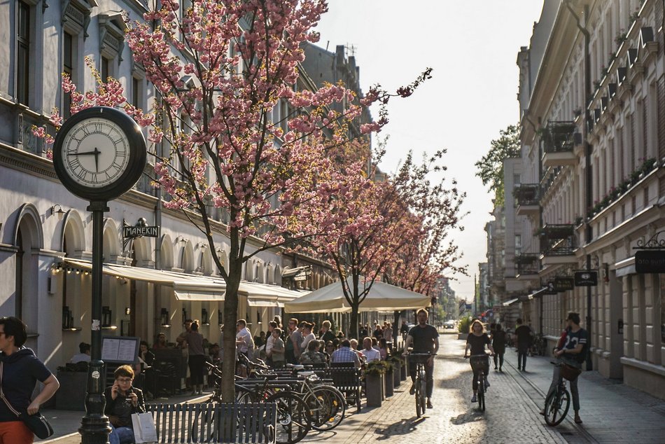Łódź. TOP 10 woonerfów w Łodzi! To prawdziwe oazy zieleni w centrum miasta