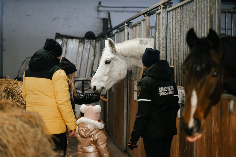 Łódź. Straż Miejska świętuje WOŚP 2026 w Łodzi! Jazda konna, gry i zabawy przy Wycieczkowej